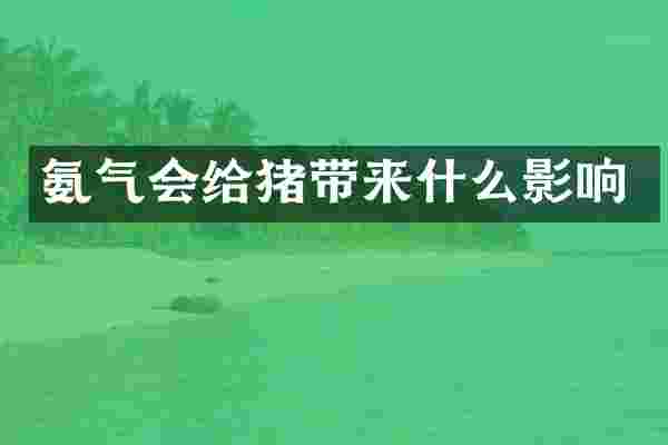 氨气会给猪带来什么影响