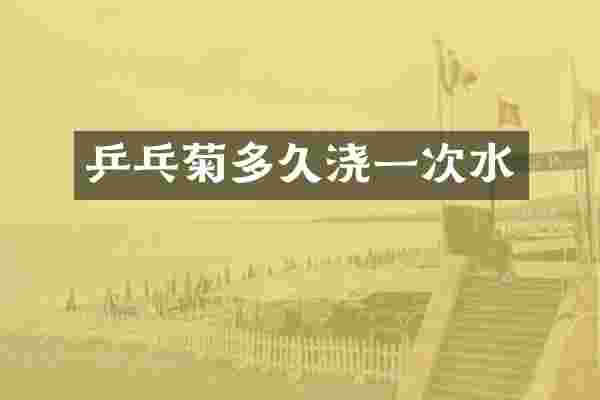 乒乓菊多久浇一次水