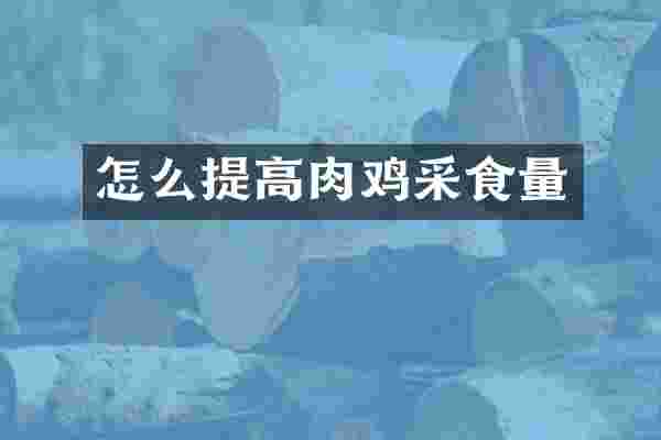怎么提高肉鸡采食量