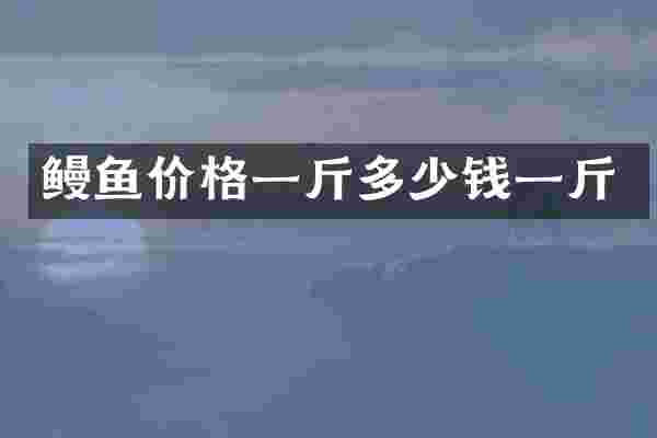 鳗鱼价格一斤多少钱一斤