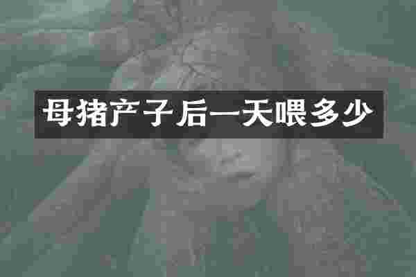 母猪产子后一天喂多少