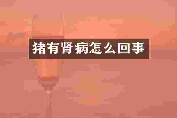 猪有肾病怎么回事