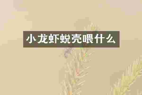 小龙虾蜕壳喂什么