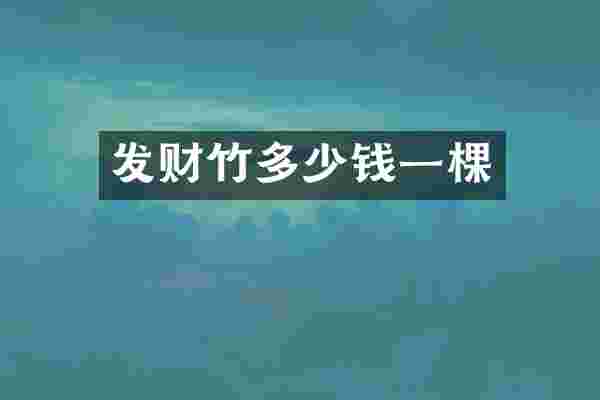 发财竹多少钱一棵