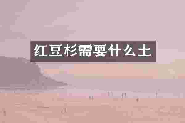 红豆杉需要什么土