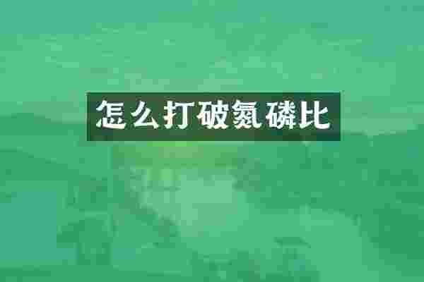 怎么打破氮磷比
