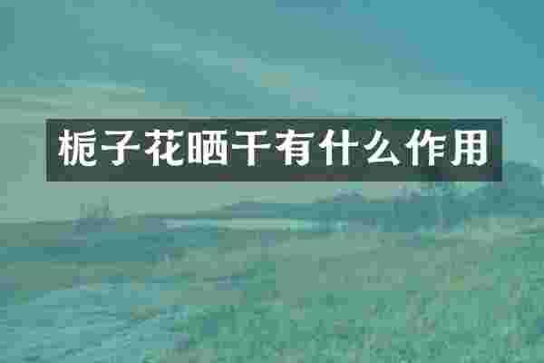 栀子花晒干有什么作用