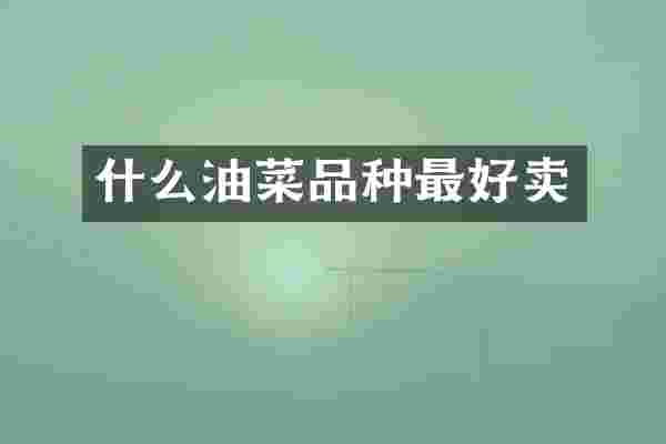 什么油菜品种最好卖