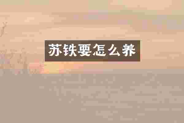 苏铁要怎么养