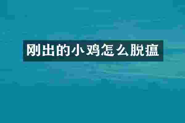 刚出的小鸡怎么脱瘟