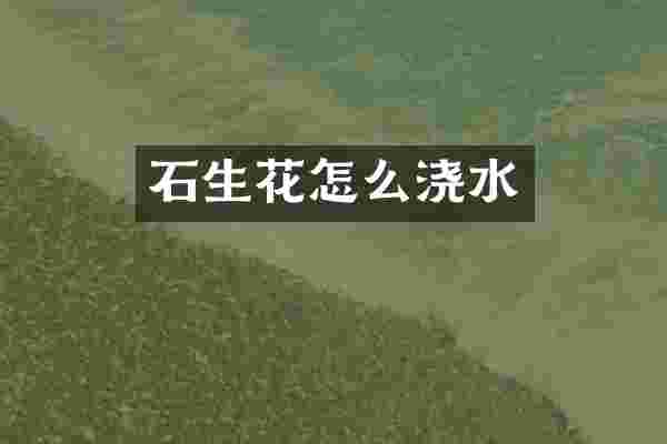 石生花怎么浇水