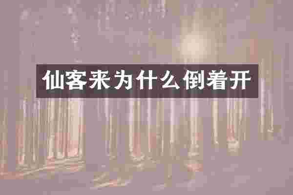仙客来为什么倒着开