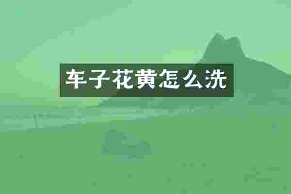 车子花黄怎么洗