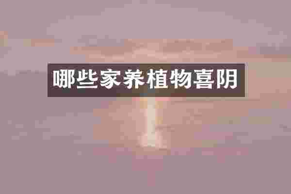 哪些家养植物喜阴