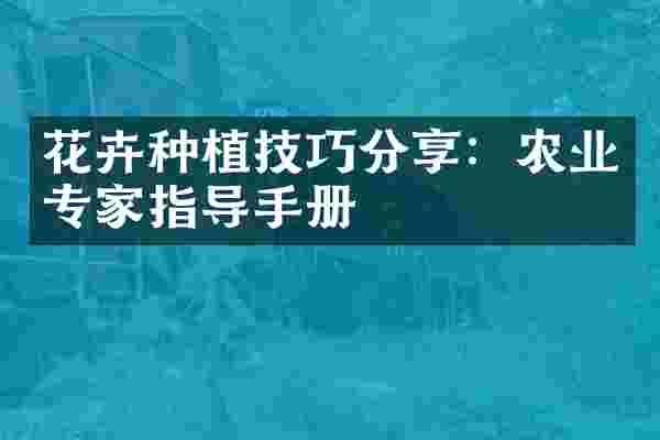 花卉种植技巧分享：农业专家指导手册