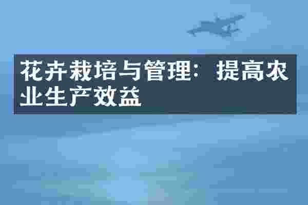 花卉栽培与管理：提高农业生产效益