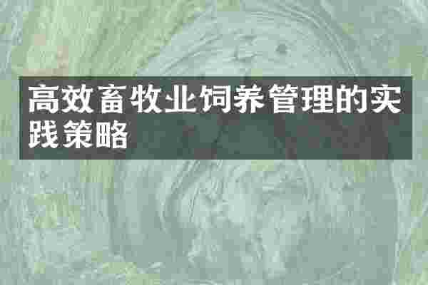 高效畜牧业饲养管理的实践策略
