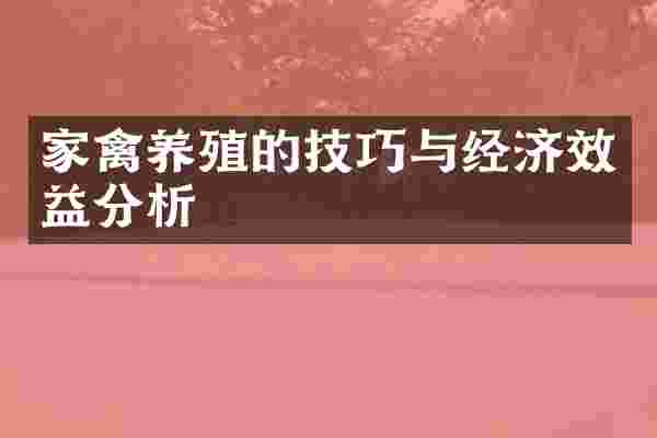 家禽养殖的技巧与经济效益分析