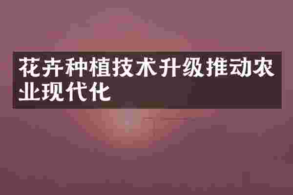 花卉种植技术升级推动农业现代化