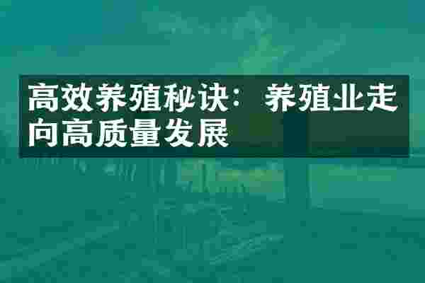 高效养殖秘诀：养殖业走向高质量发展