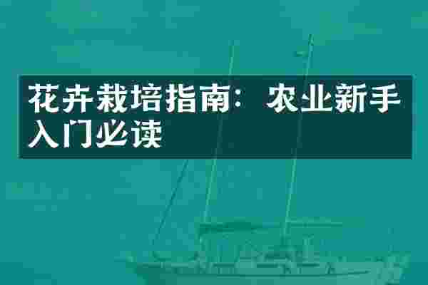 花卉栽培指南：农业新手入门必读