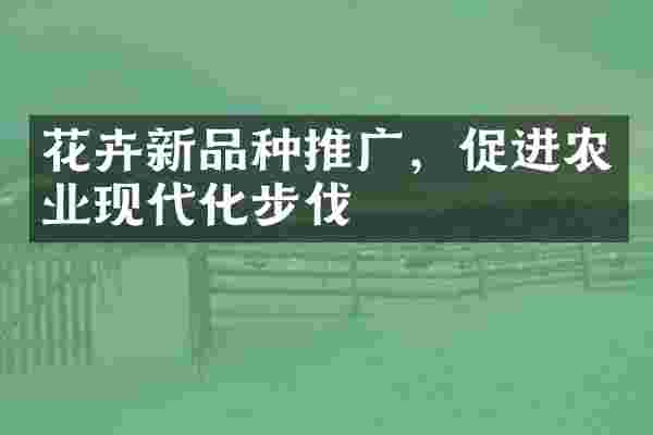 花卉新品种推广，促进农业现代化步伐