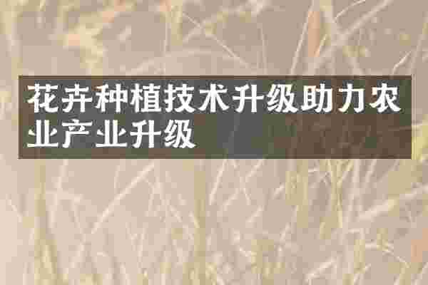 花卉种植技术升级助力农业产业升级