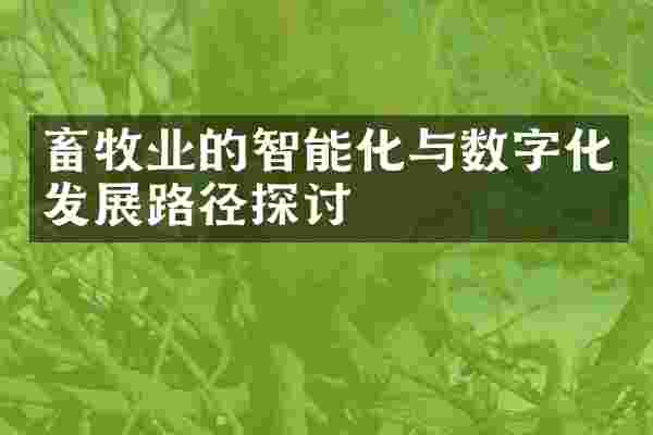 畜牧业的智能化与数字化发展路径探讨