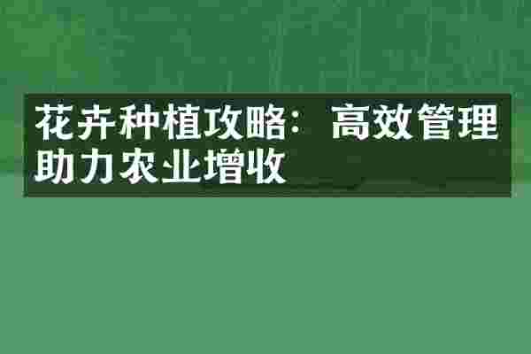 花卉种植攻略：高效管理助力农业增收
