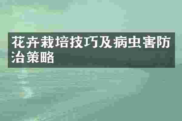 花卉栽培技巧及病虫害防治策略