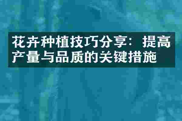 花卉种植技巧分享：提高产量与品质的关键措施