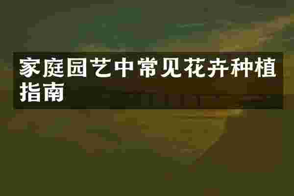 家庭园艺中常见花卉种植指南