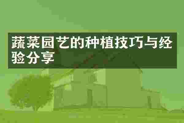 蔬菜园艺的种植技巧与经验分享