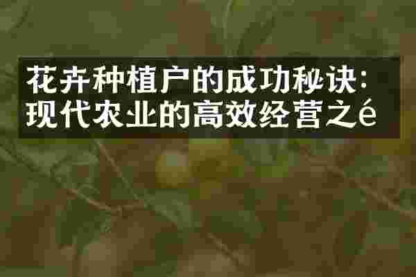 花卉种植户的成功秘诀：现代农业的高效经营之道