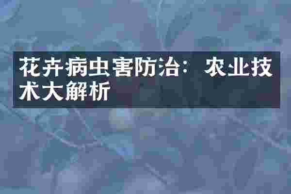 花卉病虫害防治：农业技术大解析