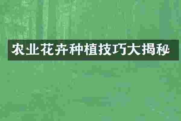 农业花卉种植技巧大揭秘