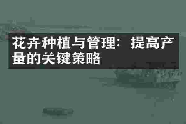 花卉种植与管理：提高产量的关键策略
