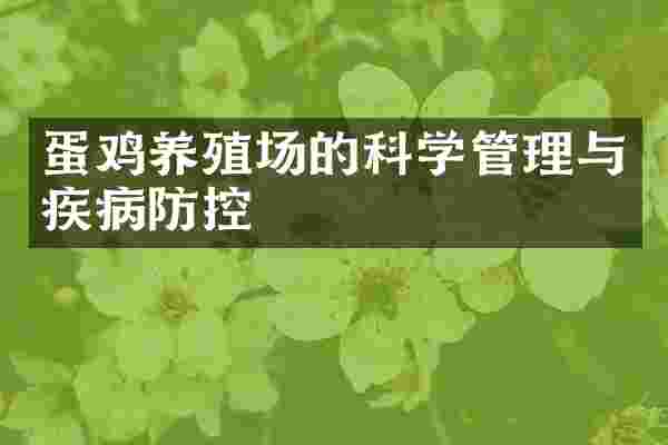 蛋鸡养殖场的科学管理与疾病防控