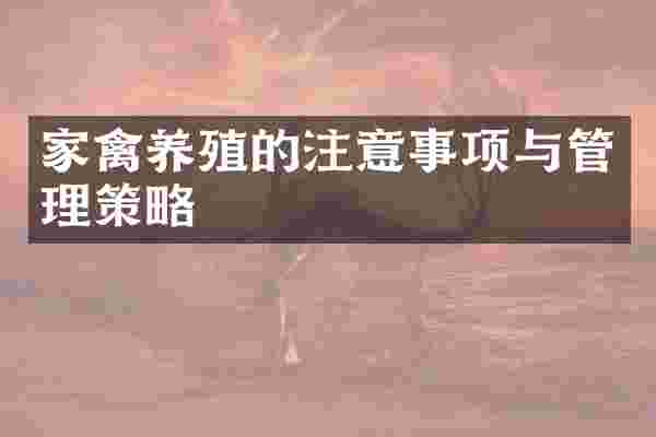 家禽养殖的注意事项与管理策略