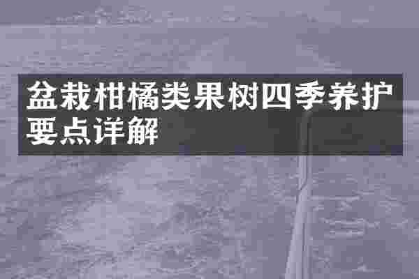盆栽柑橘类果树四季养护要点详解