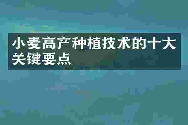 小麦高产种植技术的十大关键要点