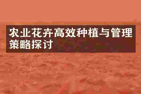农业花卉高效种植与管理策略探讨