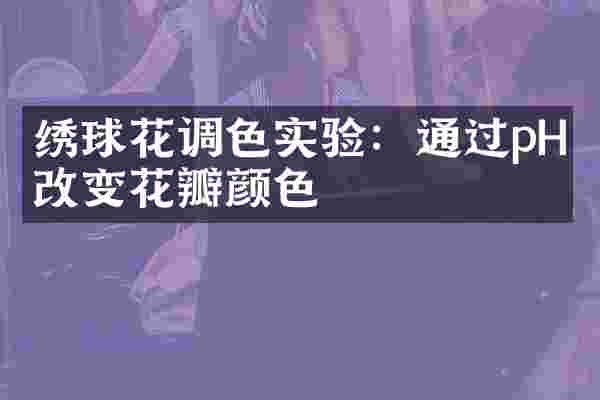 绣球花调色实验：通过pH值改变花瓣颜色