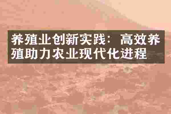 养殖业创新实践：高效养殖助力农业现代化进程