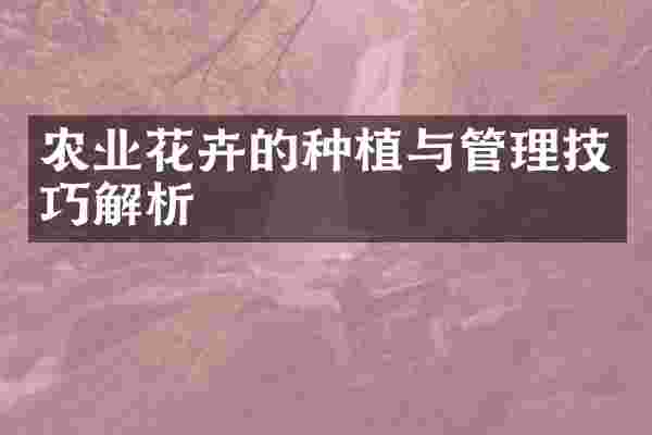 农业花卉的种植与管理技巧解析