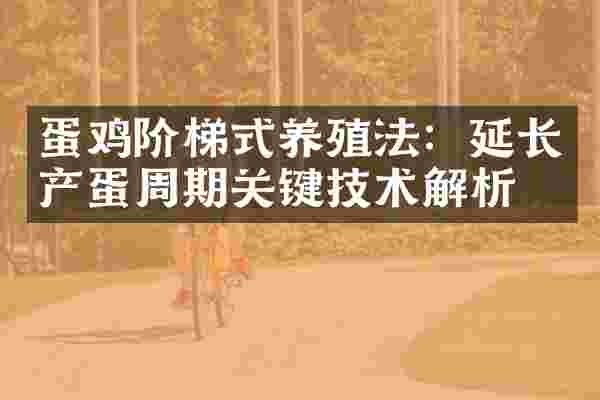 蛋鸡阶梯式养殖法：延长产蛋周期关键技术解析