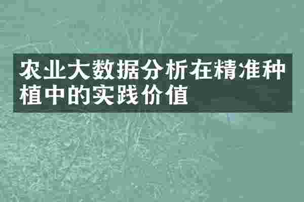 农业大数据分析在精准种植中的实践价值