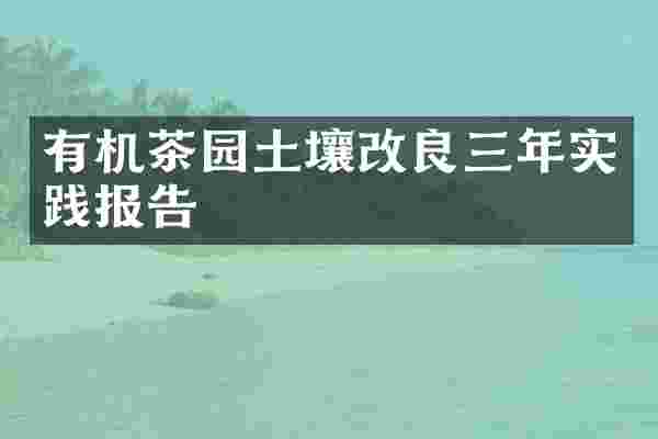 有机茶园土壤改良三年实践报告