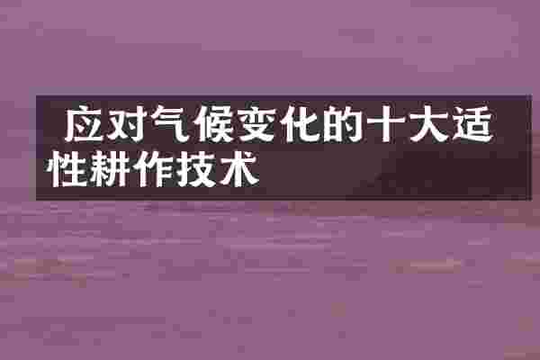  应对气候变化的十大适应性耕作技术