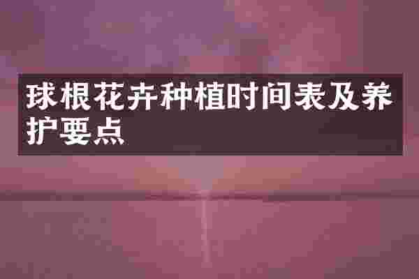 球根花卉种植时间表及养护要点